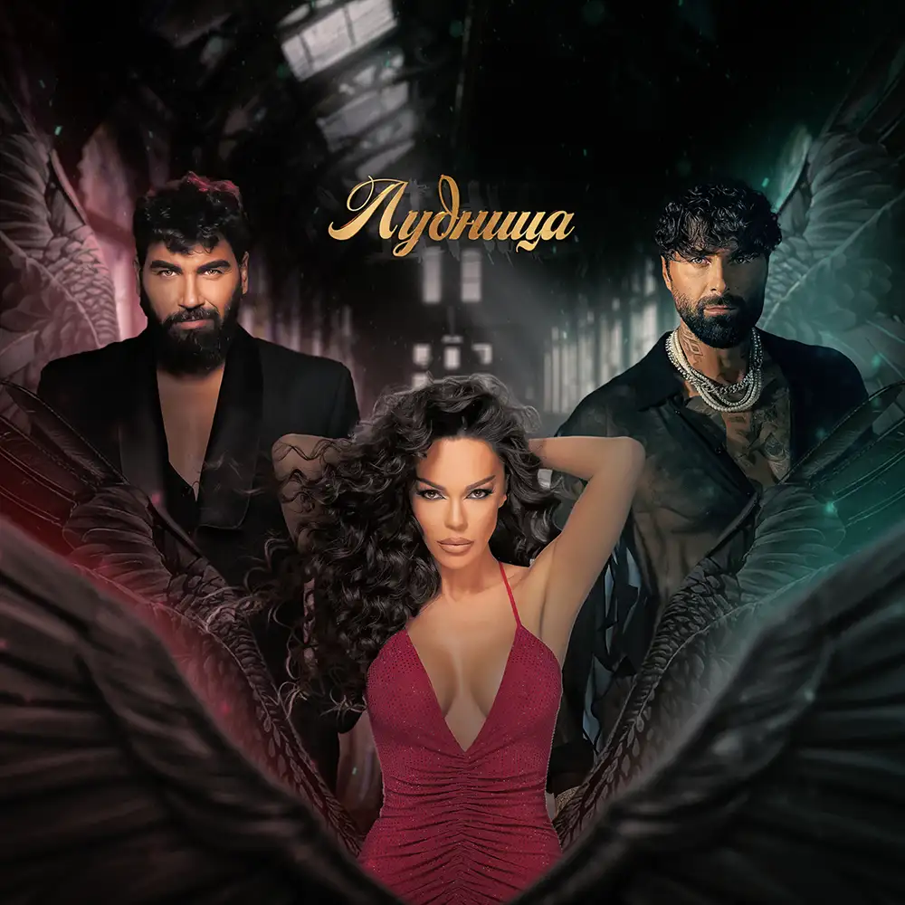 Лудница